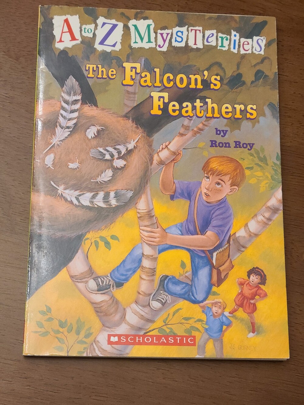 Scholastic A to Z Mysteries: The Falcon's Feathers — Children's Chapter Book